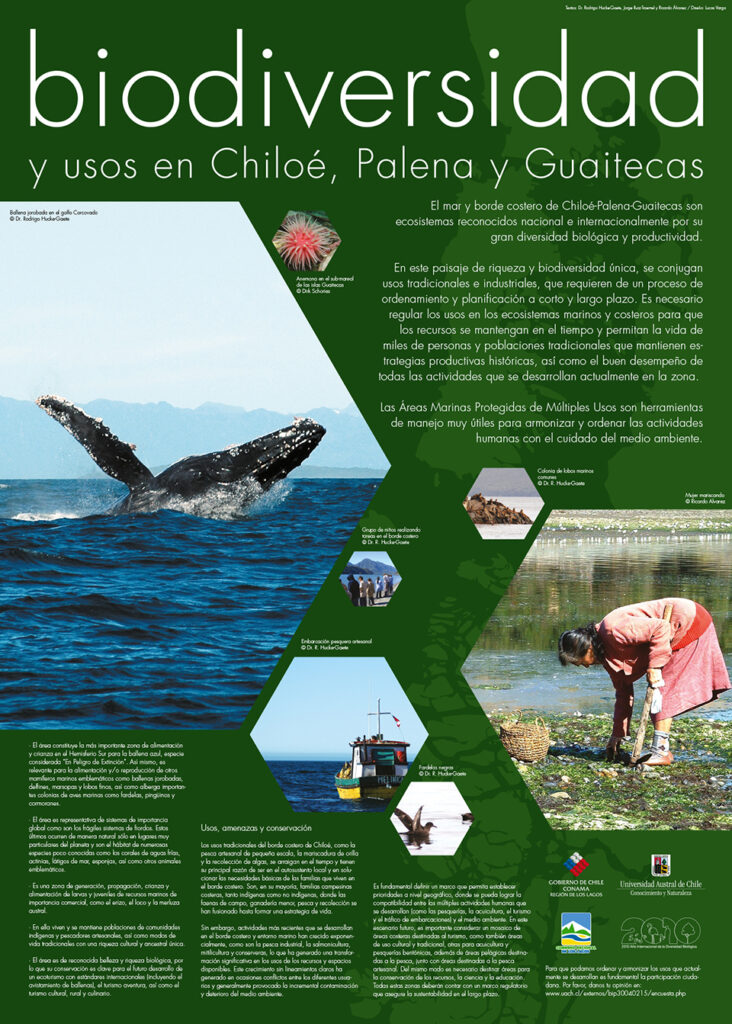 Diseño gráfico